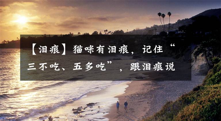 【泪痕】猫咪有泪痕，记住“三不吃、五多吃”，跟泪痕说再见