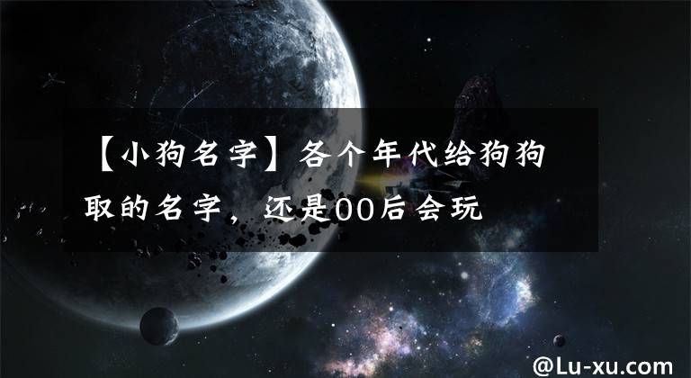 【小狗名字】各个年代给狗狗取的名字，还是00后会玩