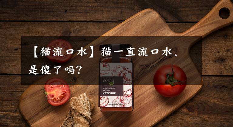 【猫流口水】猫一直流口水,是傻了吗?