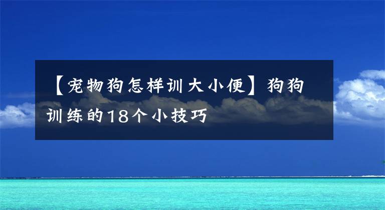 【宠物狗怎样训大小便】狗狗训练的18个小技巧
