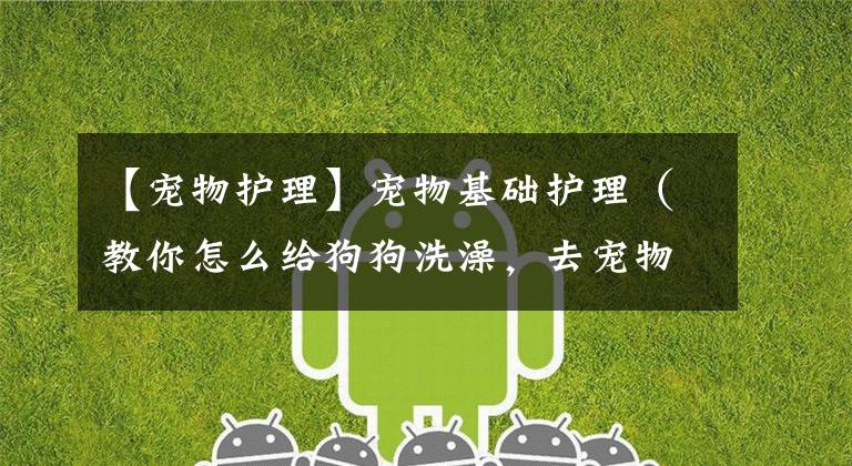 【宠物护理】宠物基础护理（教你怎么给狗狗洗澡，去宠物店再也不用给坑）