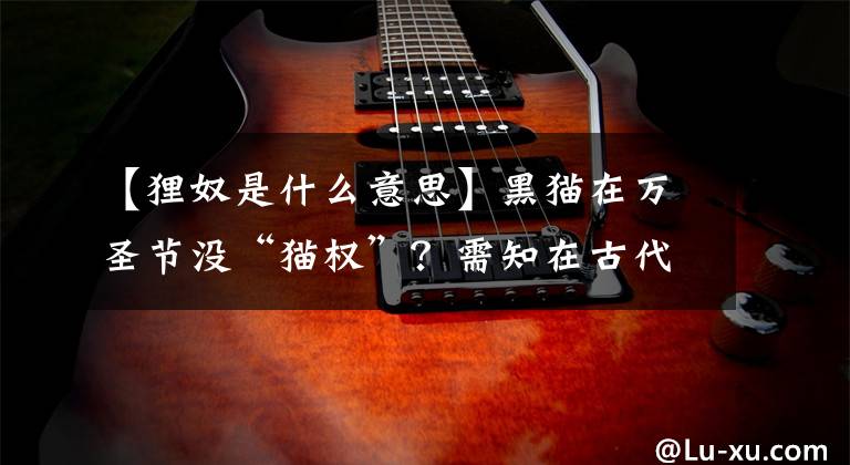 【狸奴是什么意思】黑猫在万圣节没“猫权”?需知在古代,玄猫的地位极为超然