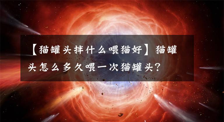 【猫罐头拌什么喂猫好】猫罐头怎么多久喂一次猫罐头？