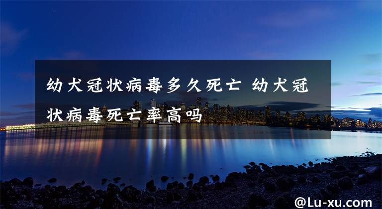 幼犬冠状病毒多久死亡 幼犬冠状病毒死亡率高吗