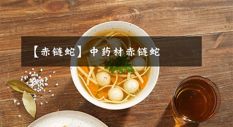 【赤链蛇】中药材赤链蛇