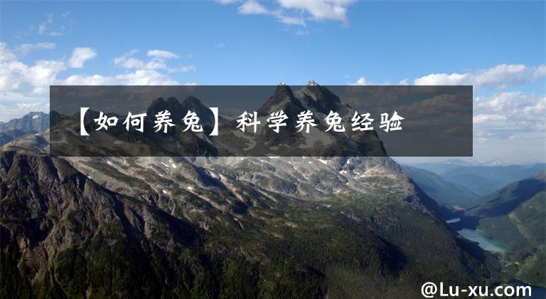 【如何养兔】科学养兔经验