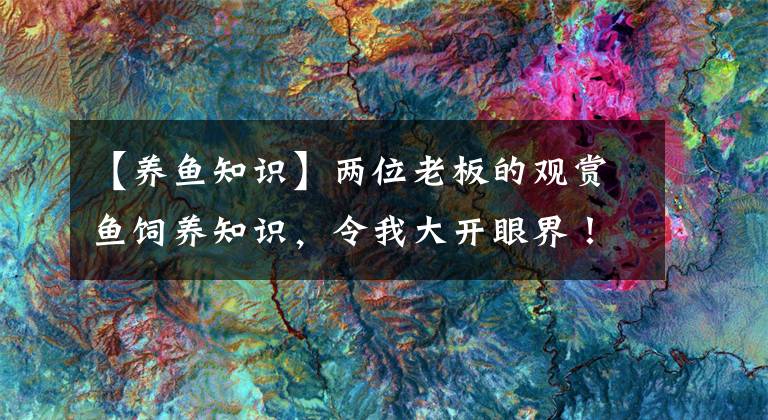 【养鱼知识】两位老板的观赏鱼饲养知识，令我大开眼界！