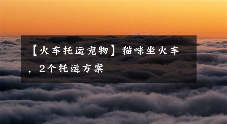 【火车托运宠物】猫咪坐火车,2个托运方案