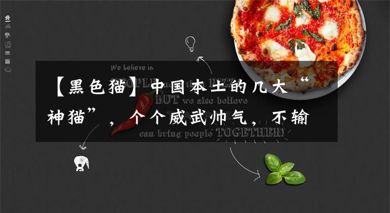 【黑色猫】中国本土的几大“神猫”，个个威武帅气，不输给国外猫