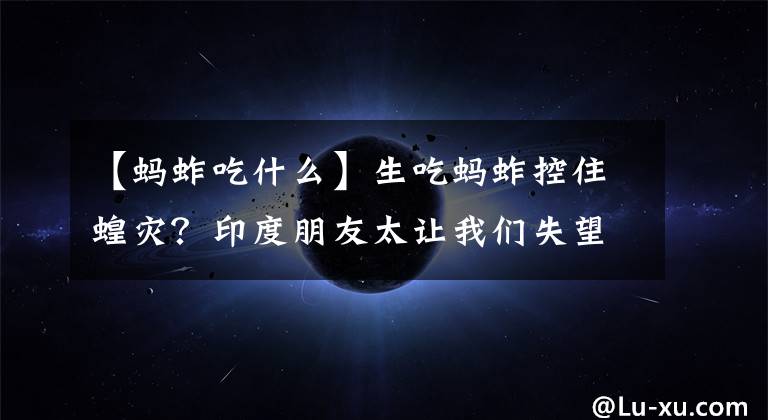 【蚂蚱吃什么】生吃蚂蚱控住蝗灾？印度朋友太让我们失望了