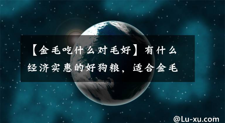 【金毛吃什么对毛好】有什么经济实惠的好狗粮，适合金毛吃？