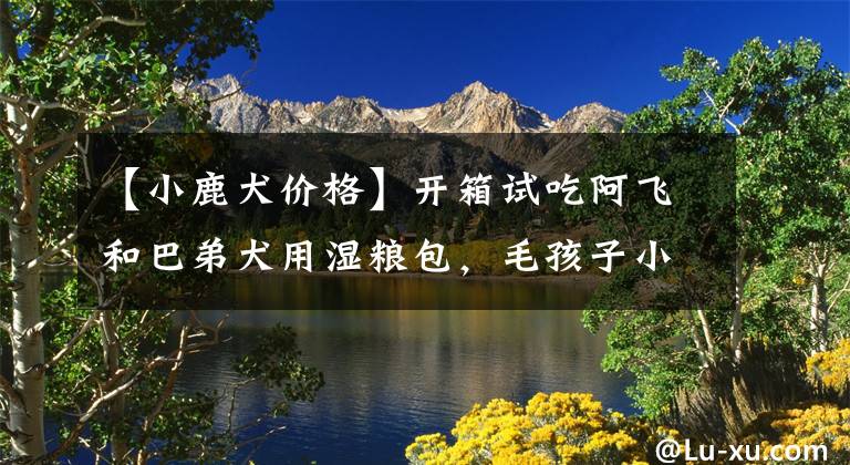 【小鹿犬价格】开箱试吃阿飞和巴弟犬用湿粮包，毛孩子小鹿犬经济口粮