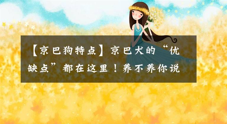 【京巴狗特点】京巴犬的“优缺点”都在这里！养不养你说了算