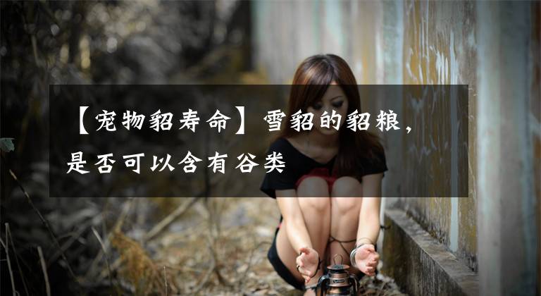 【宠物貂寿命】雪貂的貂粮，是否可以含有谷类