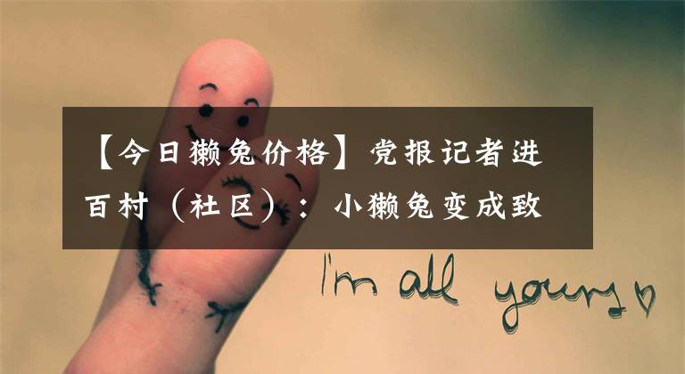 【今日獭兔价格】党报记者进百村(社区):小獭兔变成致富小“金兔”