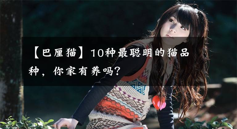 【巴厘猫】10种最聪明的猫品种,你家有养吗?