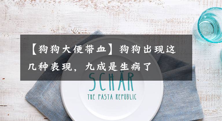 【狗狗大便带血】狗狗出现这几种表现，九成是生病了