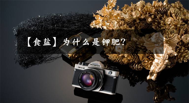 【食盐】为什么是钾肥?