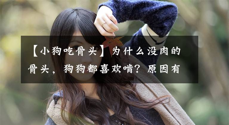 【小狗吃骨头】为什么没肉的骨头，狗狗都喜欢啃？原因有5个！