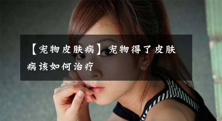 【宠物皮肤病】宠物得了皮肤病该如何治疗