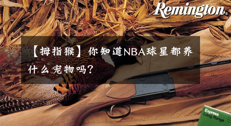 【拇指猴】你知道NBA球星都养什么宠物吗?