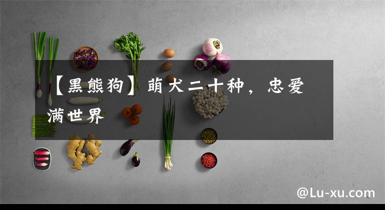 【黑熊狗】萌犬二十种，忠爱满世界