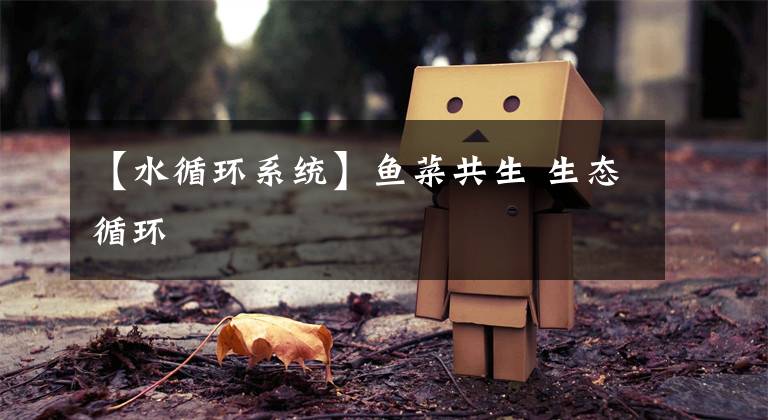 【水循环系统】鱼菜共生 生态循环
