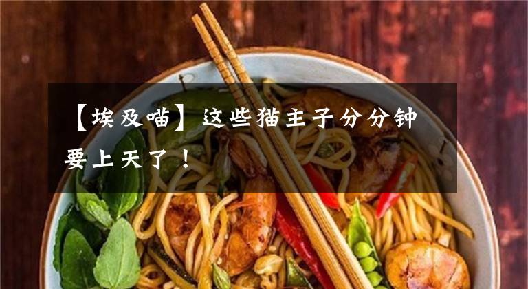【埃及喵】这些猫主子分分钟要上天了！