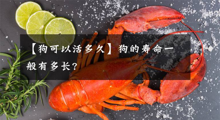 【狗可以活多久】狗的寿命一般有多长?