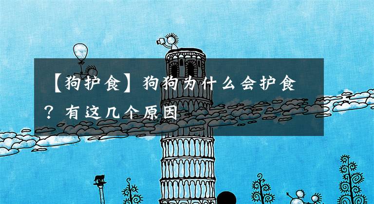 【狗护食】狗狗为什么会护食？有这几个原因
