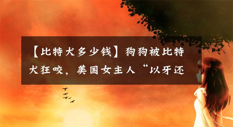 【比特犬多少钱】狗狗被比特犬狂咬，美国女主人“以牙还牙”狠咬回去，救回小狗