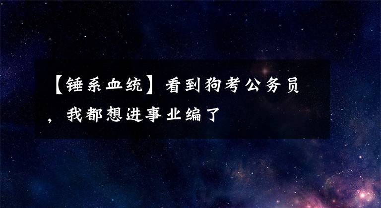 【锤系血统】看到狗考公务员,我都想进事业编了