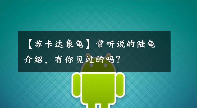 【苏卡达象龟】常听说的陆龟介绍，有你见过的吗？