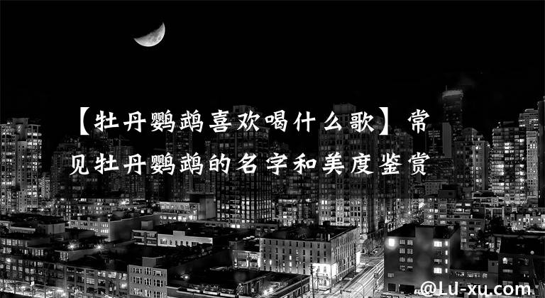 【牡丹鹦鹉喜欢喝什么歌】常见牡丹鹦鹉的名字和美度鉴赏。