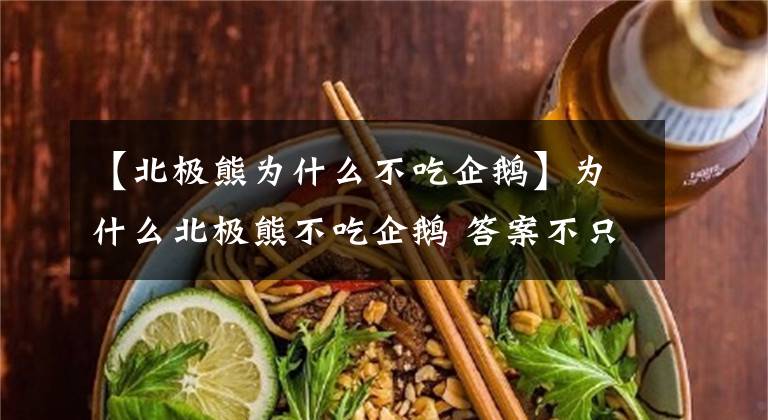 【北极熊为什么不吃企鹅】为什么北极熊不吃企鹅 答案不只是个笑话