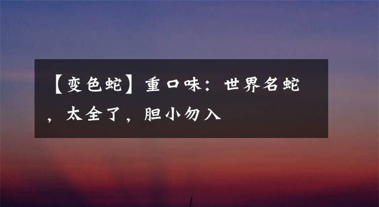 【变色蛇】重口味：世界名蛇，太全了，胆小勿入