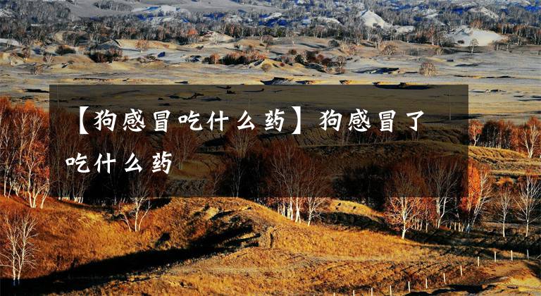 【狗感冒吃什么药】狗感冒了吃什么药