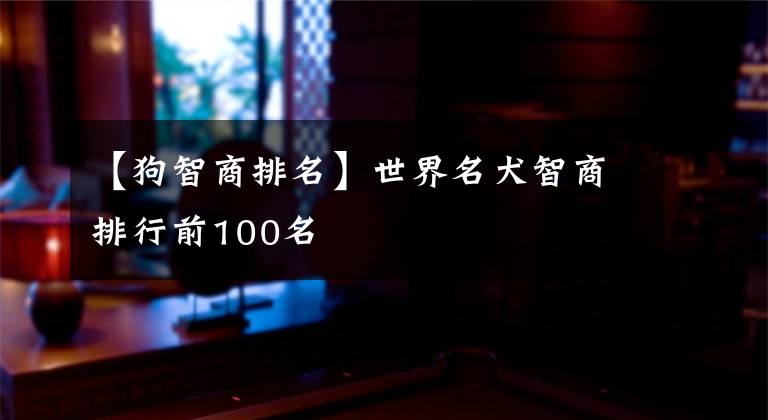 【狗智商排名】世界名犬智商排行前100名