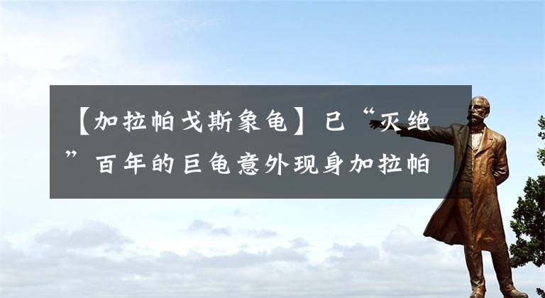 【加拉帕戈斯象龟】已“灭绝”百年的巨龟意外现身加拉帕戈斯群岛