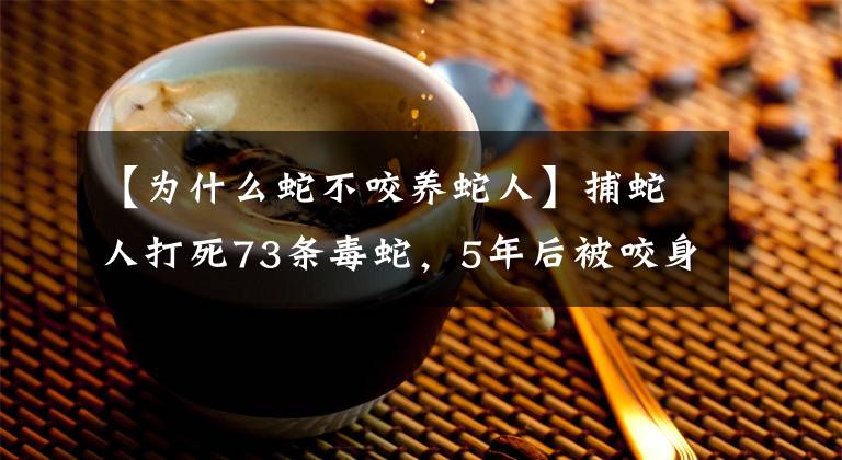 【为什么蛇不咬养蛇人】捕蛇人打死73条毒蛇，5年后被咬身亡，蛇群真的会“记仇”吗？