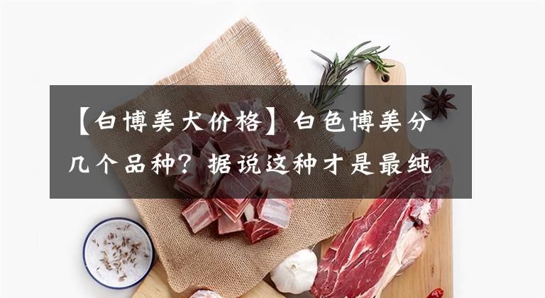 【白博美犬价格】白色博美分几个品种？据说这种才是最纯正的博美