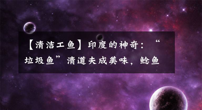 【清洁工鱼】印度的神奇：“垃圾鱼”清道夫成美味，鲶鱼泛滥却没人吃？