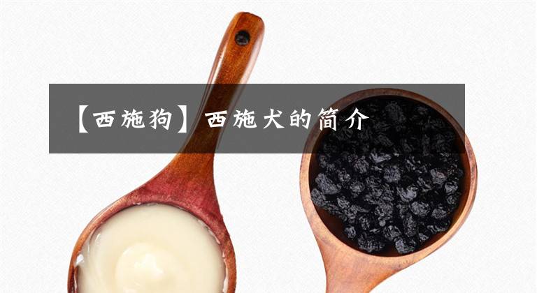 【西施狗】西施犬的简介