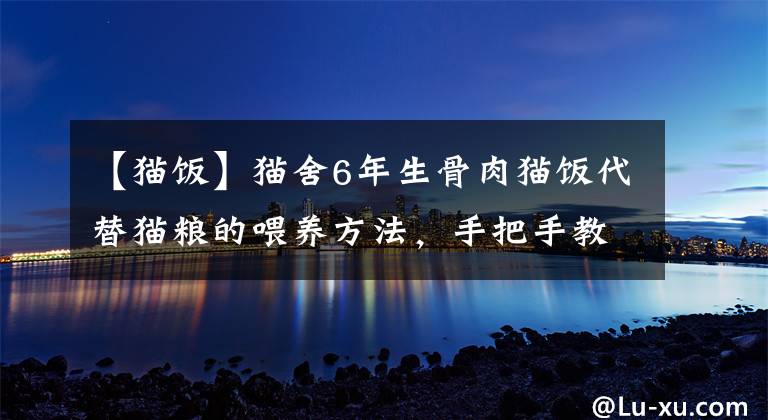 【猫饭】猫舍6年生骨肉猫饭代替猫粮的喂养方法，手把手教你~3分钟学会