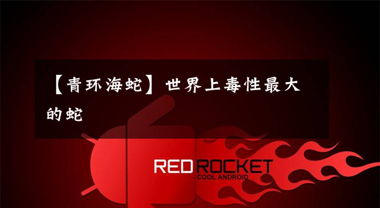 【青环海蛇】世界上毒性最大的蛇