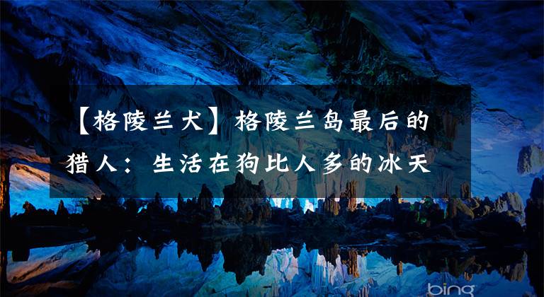 【格陵兰犬】格陵兰岛最后的猎人：生活在狗比人多的冰天雪地里