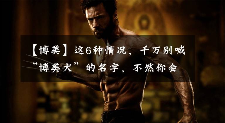 【博美】这6种情况,千万别喊“博美犬”的名字,不然你会失去它