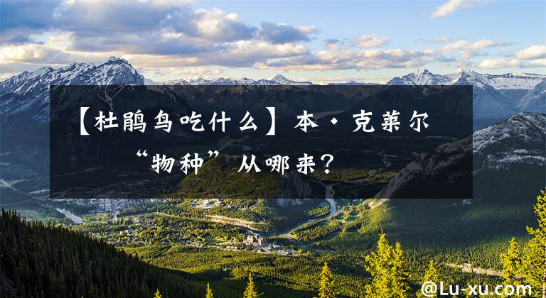 【杜鹃鸟吃什么】本·克莱尔:“物种”从哪来?