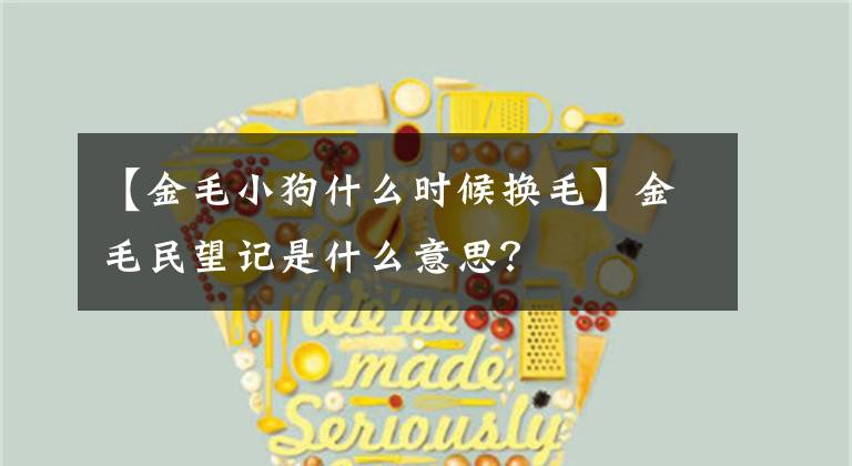 【金毛小狗什么时候换毛】金毛民望记是什么意思？