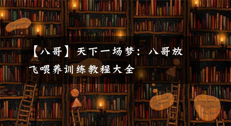 【八哥】天下一场梦:八哥放飞喂养训练教程大全